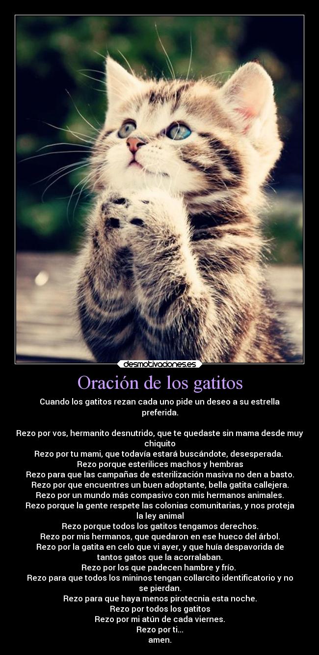 carteles amigos criticas desmotivaciones gatosimaginacion suenos vida clanloup desmotivaciones