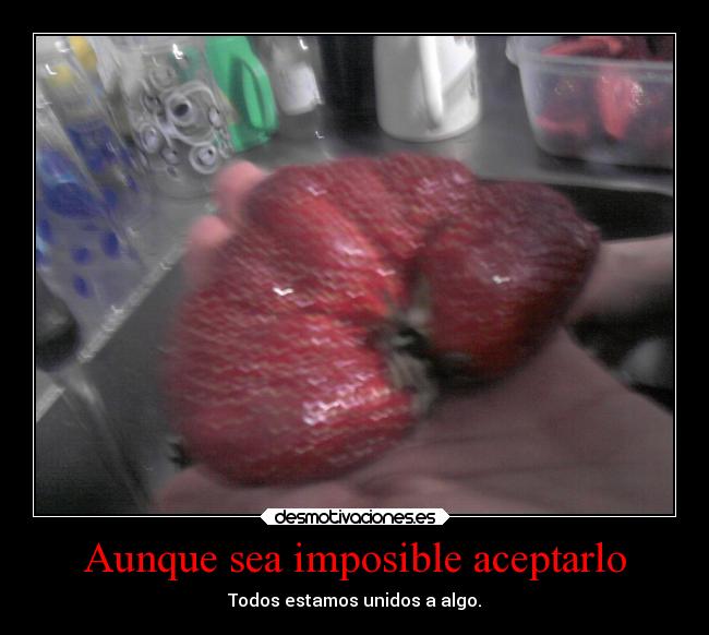 Aunque sea imposible aceptarlo - Todos estamos unidos a algo.