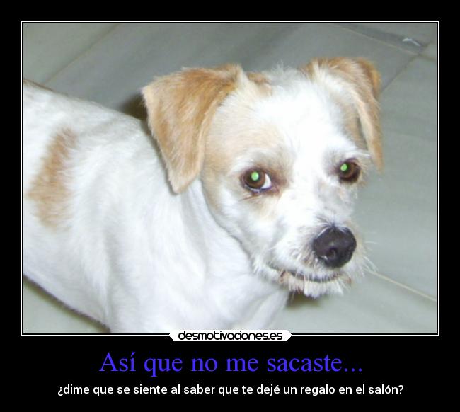 Así que no me sacaste... - ¿dime que se siente al saber que te dejé un regalo en el salón?