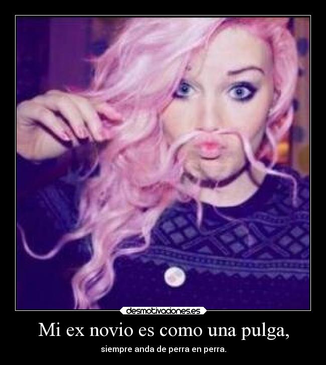 carteles gisy desmotivaciones