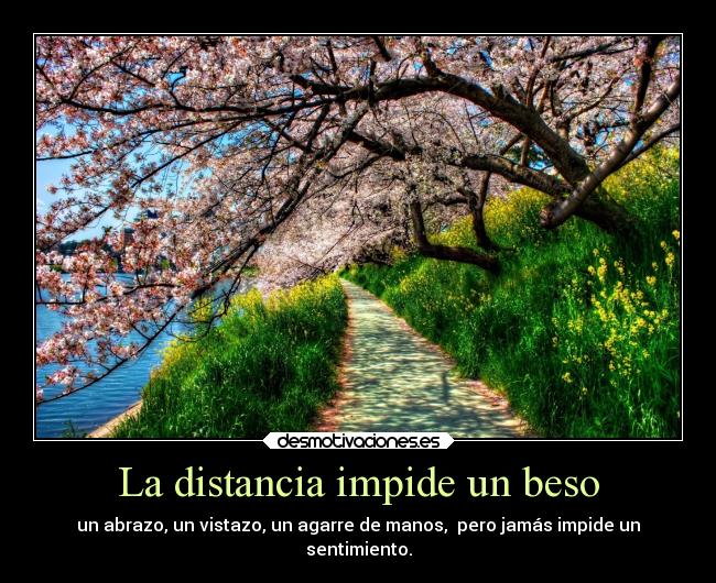 La distancia impide un beso - un abrazo, un vistazo, un agarre de manos,  pero jamás impide un
sentimiento.