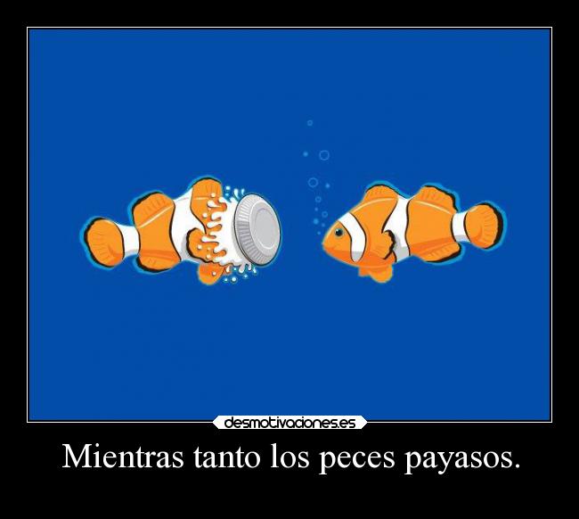 Mientras tanto los peces payasos. -