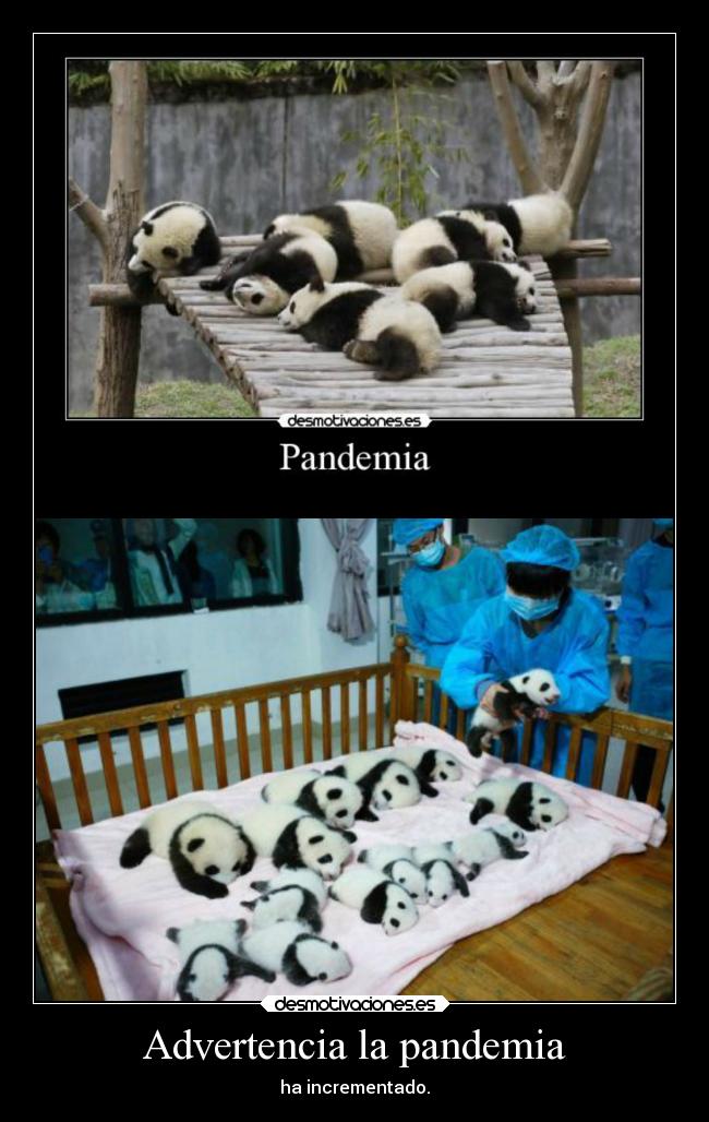 Advertencia la pandemia - ha incrementado.