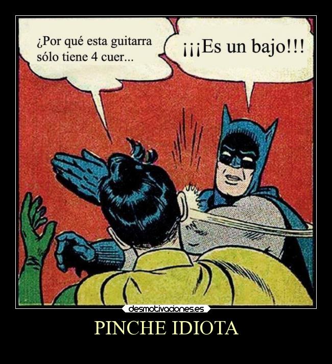 PINCHE IDIOTA -