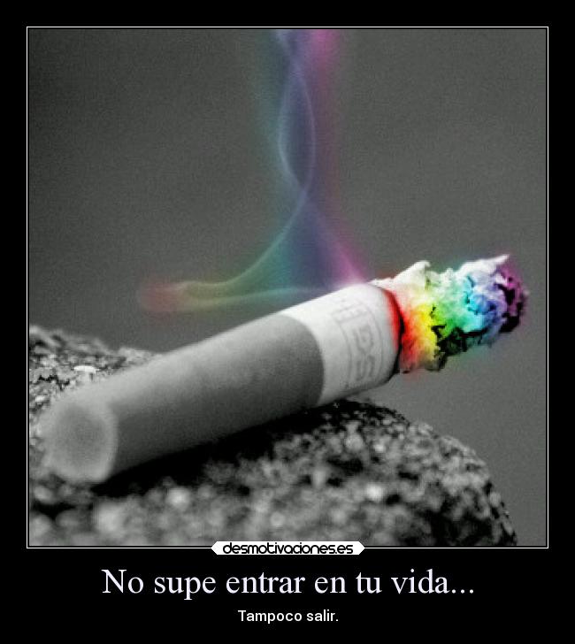 No supe entrar en tu vida... - Tampoco salir.