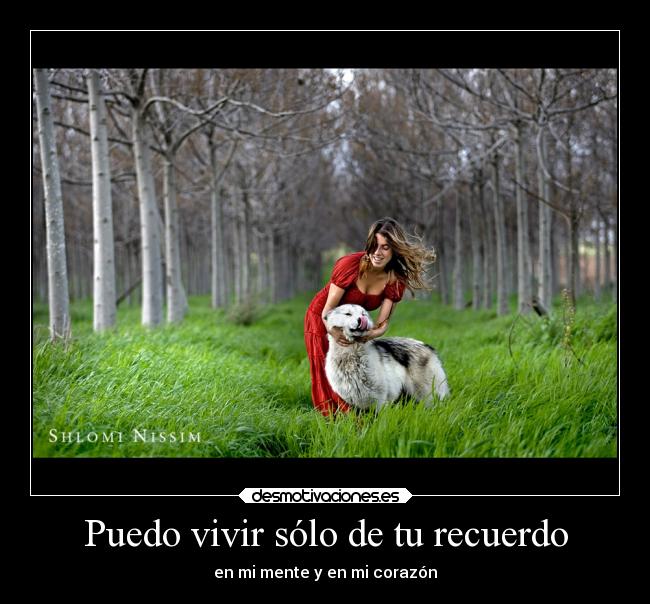 Puedo vivir sólo de tu recuerdo -