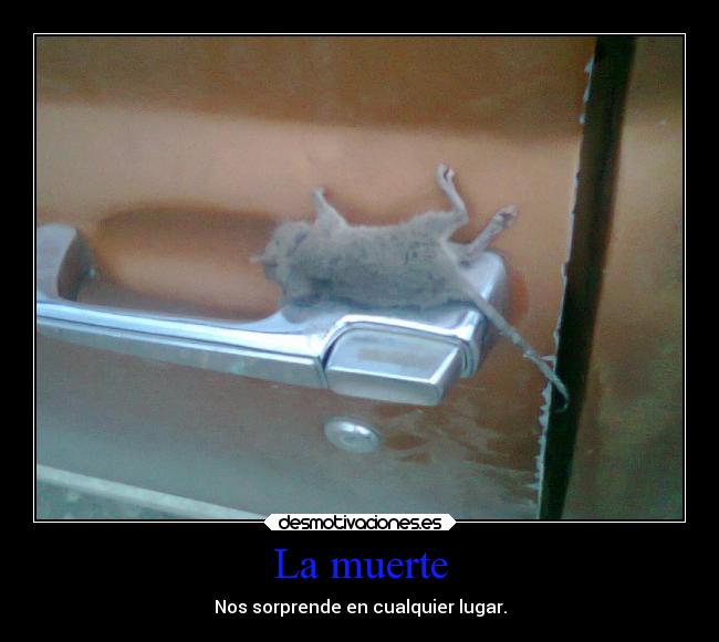 La muerte - Nos sorprende en cualquier lugar.