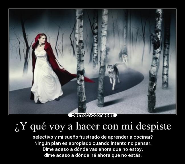 ¿Y qué voy a hacer con mi despiste -