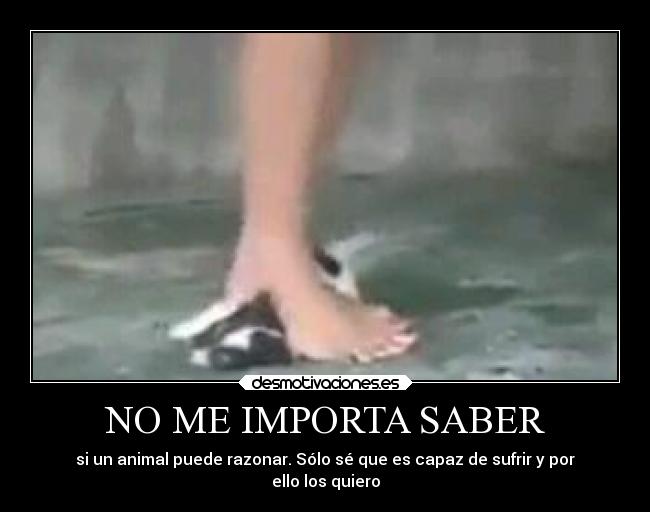 NO ME IMPORTA SABER - 