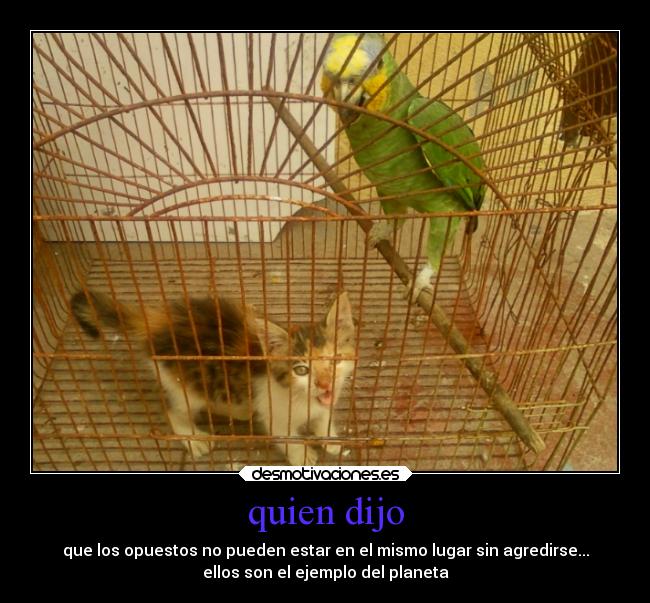 quien dijo - que los opuestos no pueden estar en el mismo lugar sin agredirse...
ellos son el ejemplo del planeta