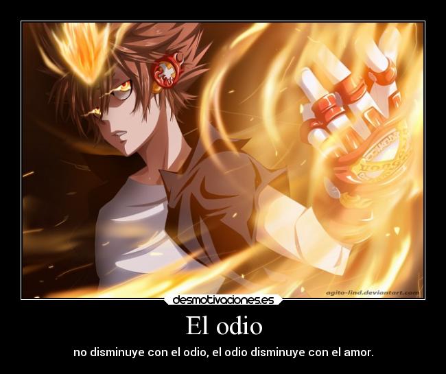 carteles odio anime katekyo hitman reborn sawada tsunayoshi desmotivaciones