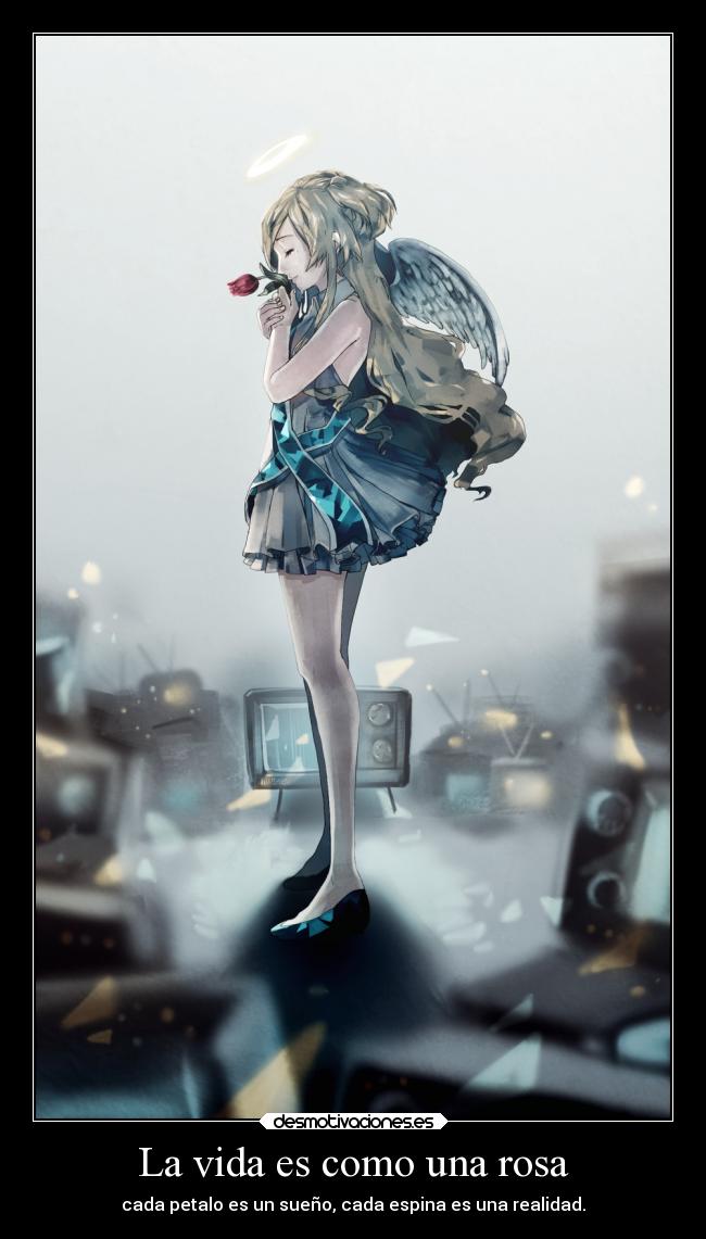 La vida es como una rosa - 