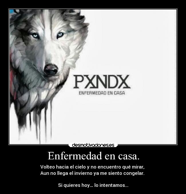 carteles casa pxndx desmotivaciones