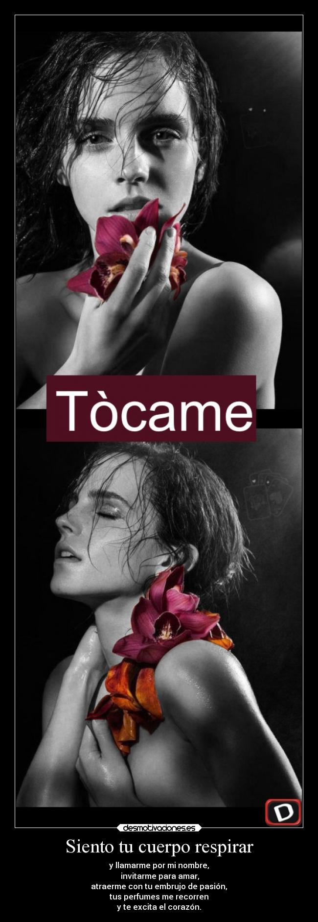 Siento tu cuerpo respirar - y llamarme por mi nombre,
 invitarme para amar,
 atraerme con tu embrujo de pasión, 
tus perfumes me recorren
y te excita el corazón.