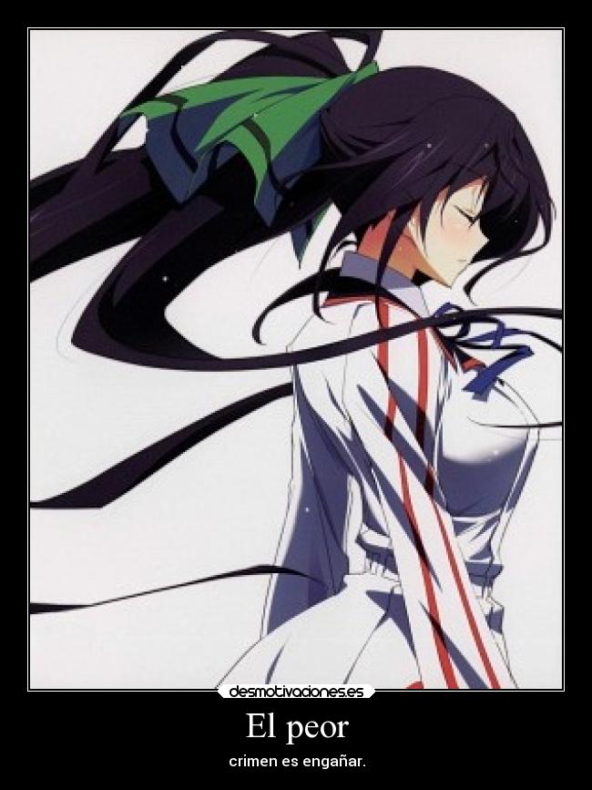 carteles anime shinonono houki infinite stratos desmotivaciones