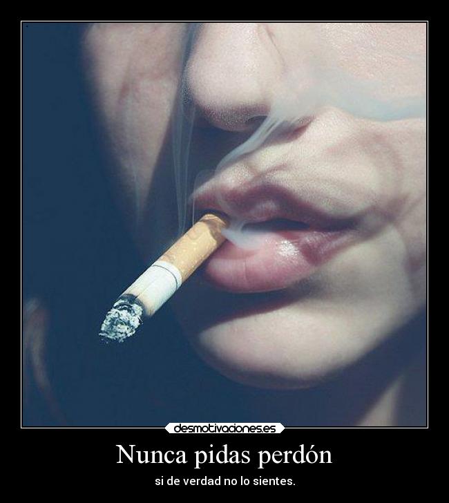 Nunca pidas perdón - si de verdad no lo sientes.