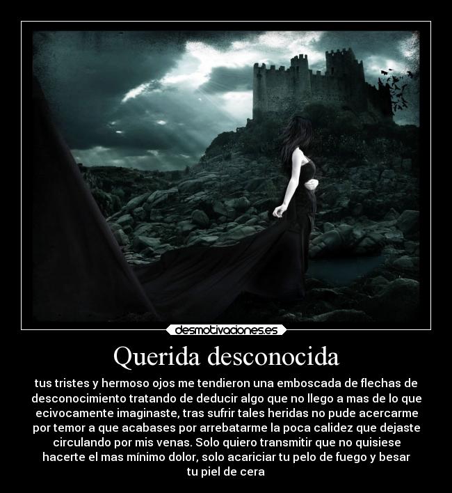 Querida desconocida -