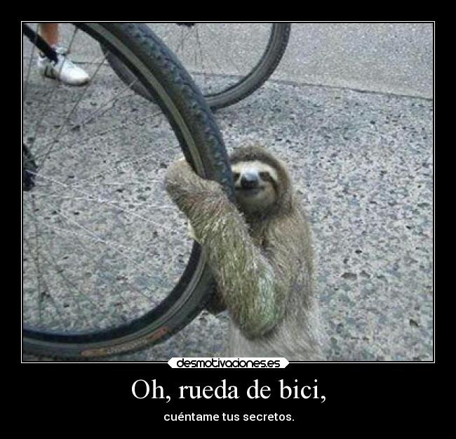 Oh, rueda de bici, - cuéntame tus secretos.