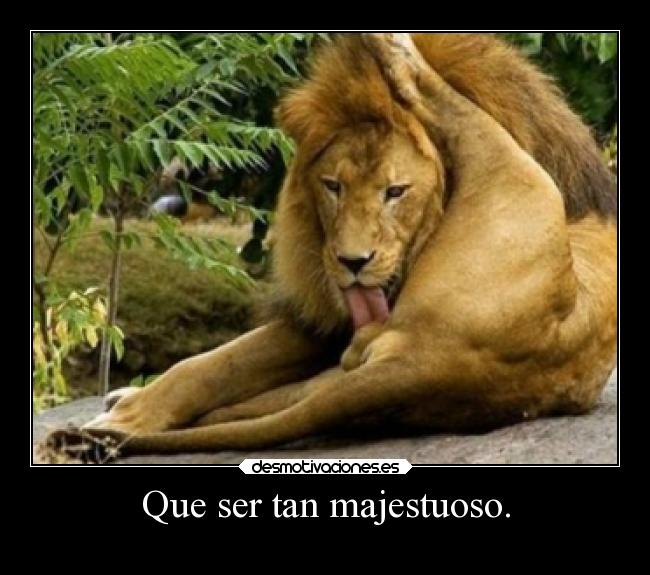 Que ser tan majestuoso. - 