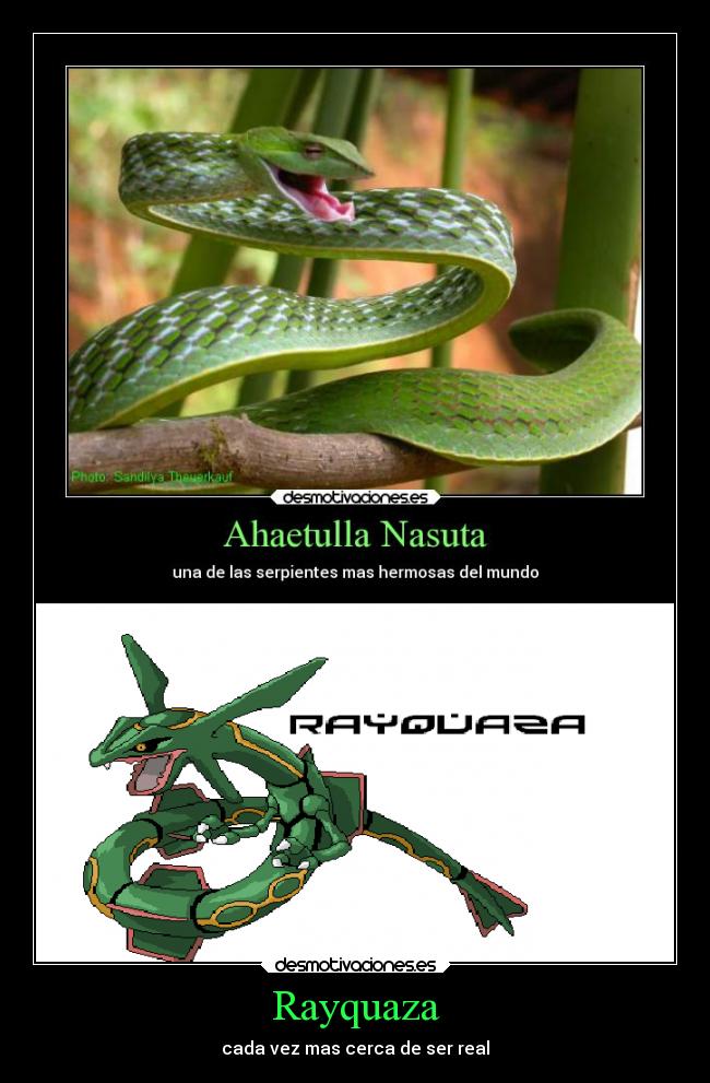 Rayquaza -