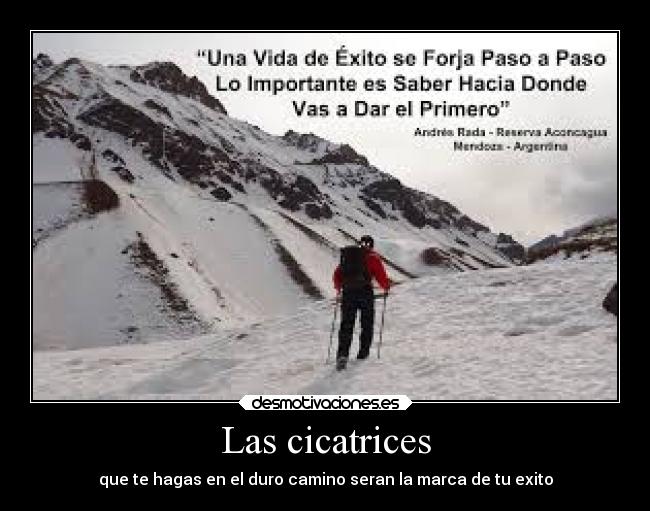 Las cicatrices - que te hagas en el duro camino seran la marca de tu exito