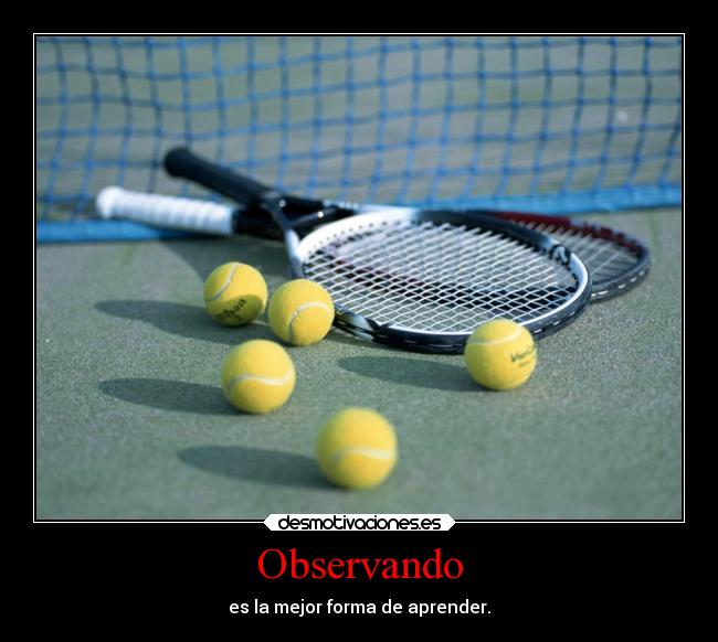 Observando - es la mejor forma de aprender.