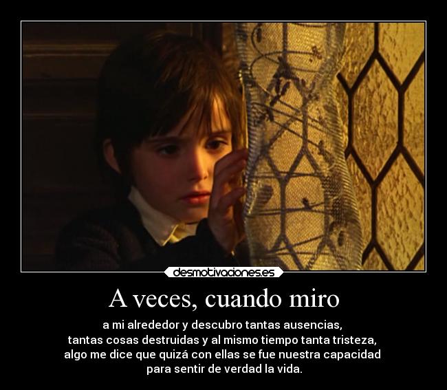 A veces, cuando miro - a mi alrededor y descubro tantas ausencias, 
tantas cosas destruidas y al mismo tiempo tanta tristeza, 
algo me dice que quizá con ellas se fue nuestra capacidad 
para sentir de verdad la vida.
