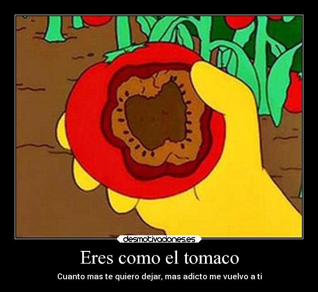 Eres como el tomaco - Cuanto mas te quiero dejar, mas adicto me vuelvo a ti