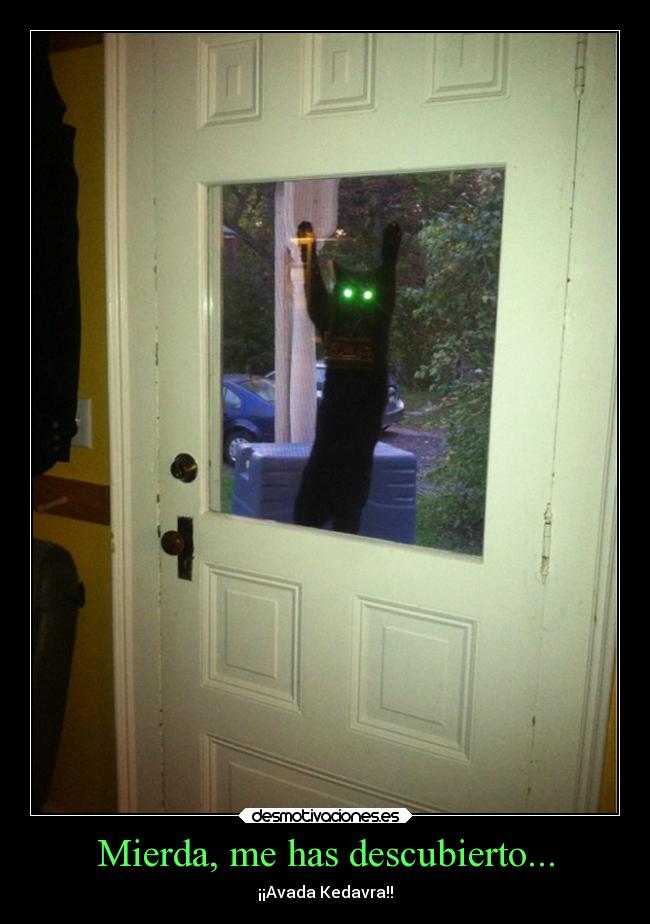 Mierda, me has descubierto... -