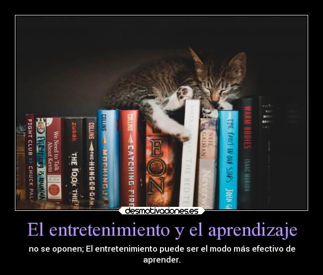 carteles vida entretenimiento aprendizaje aprender libros peliculas gatosl mastercat desmotivaciones