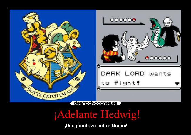 ¡Adelante Hedwig! -