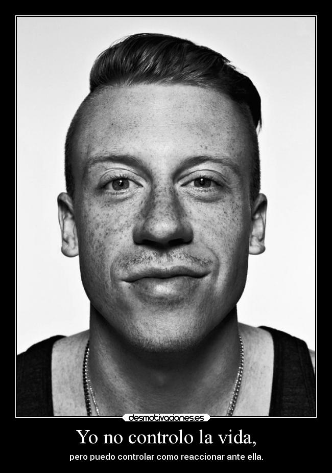 carteles vida vida tomaquetoma cientocincuentaytres macklemore desmotivaciones