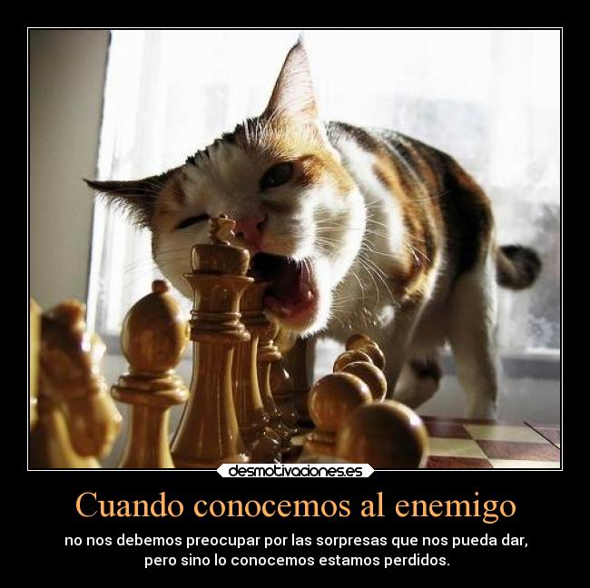 Cuando conocemos al enemigo -
