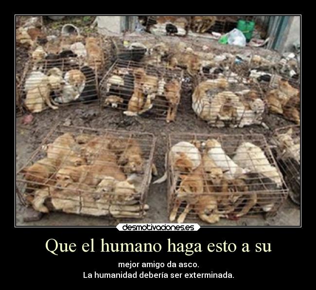 Que el humano haga esto a su - 