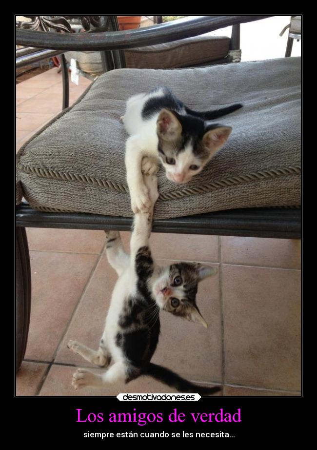 Los amigos de verdad -