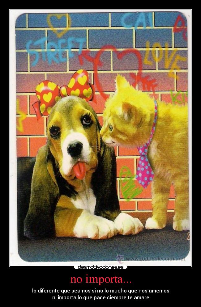 no importa... - lo diferente que seamos si no lo mucho que nos amemos
ni importa lo que pase siempre te amare