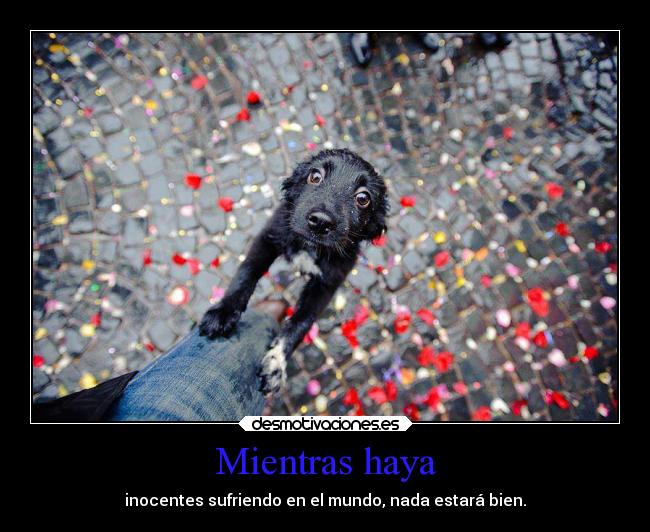 Mientras haya - inocentes sufriendo en el mundo, nada estará bien.