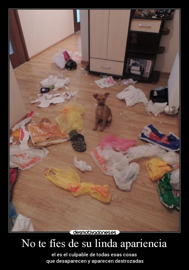 No te fíes de su linda apariencia -