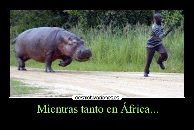 Mientras tanto en África... -