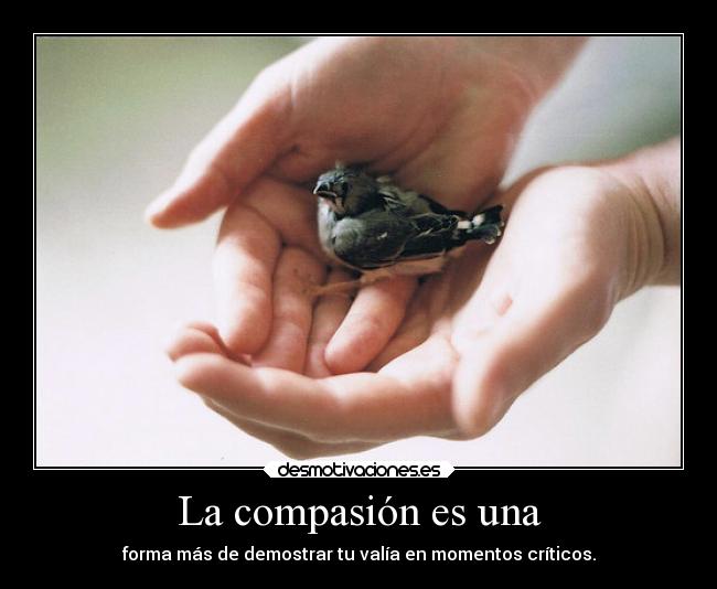 La compasión es una - 