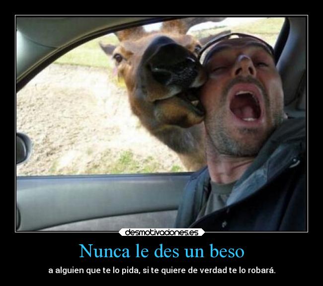Nunca le des un beso -