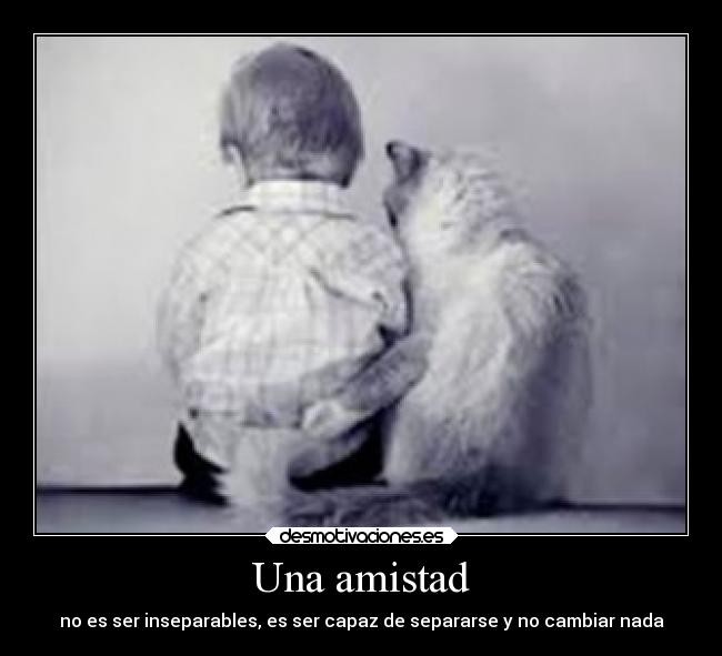 Una amistad - no es ser inseparables, es ser capaz de separarse y no cambiar nada