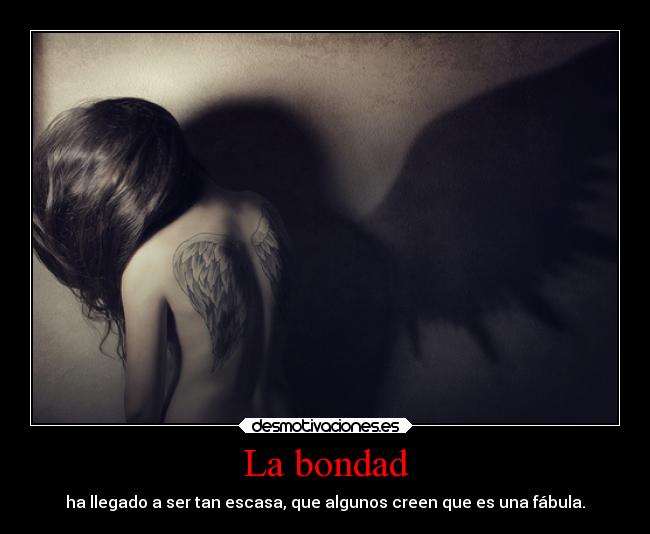 La bondad - 