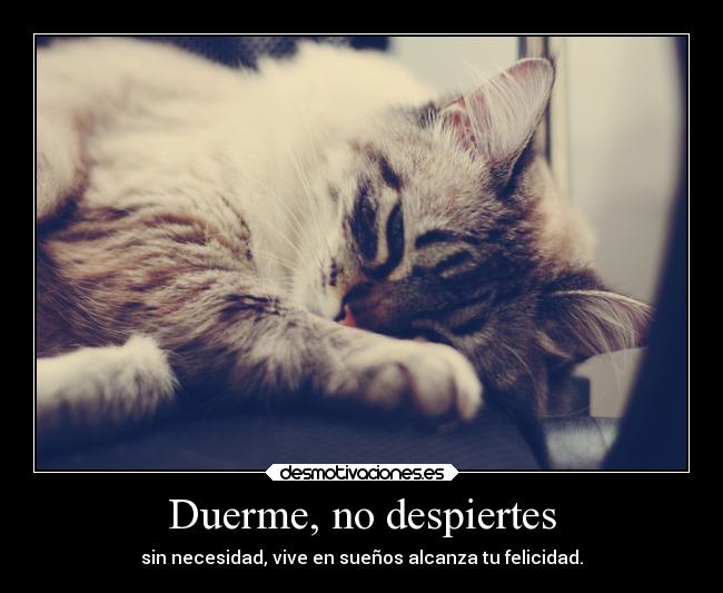 Duerme, no despiertes -