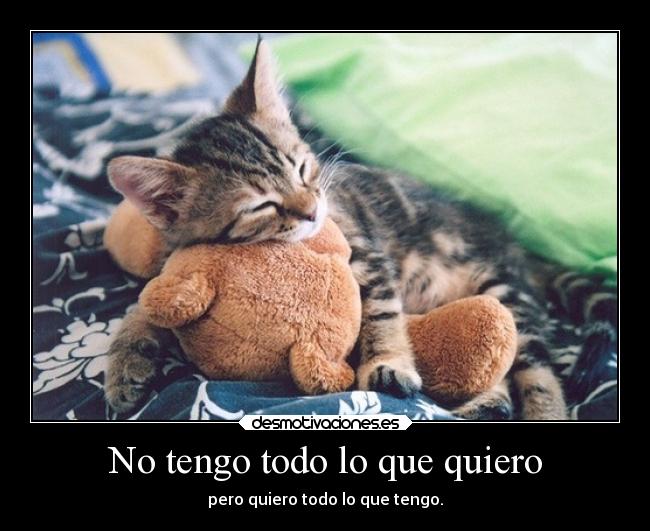 No tengo todo lo que quiero -