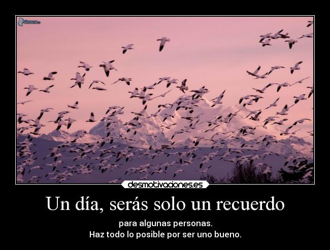 Un día, serás solo un recuerdo -
