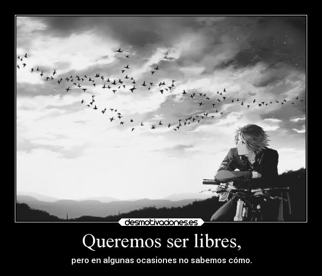 carteles vida manga anime querer libertad ocasion saber birds aves blackandwhite desmotivaciones