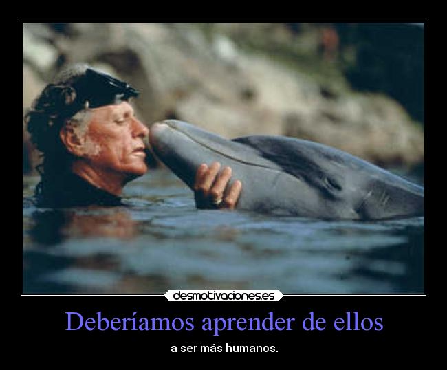 Deberíamos aprender de ellos - a ser más humanos.