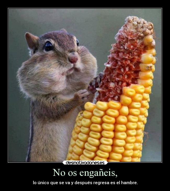 No os engañeis, - lo único que se va y después regresa es el hambre.