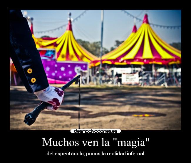 Muchos ven la magia - 